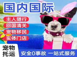 桃仙机场快运国际宠物托运 【国